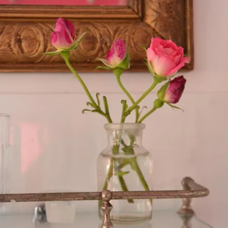 فندق مبيت وإفطار La Maison, D'hotes De Charme Et Atelier D'artiste, Saint Emilion 3*