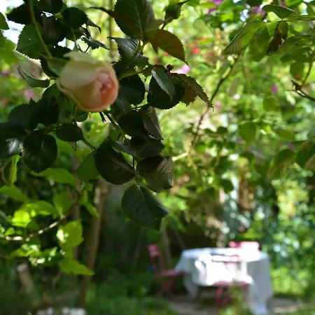 Bed & Breakfast La Maison