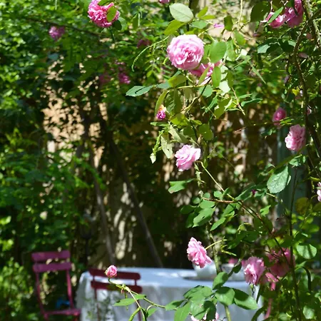 Bed & Breakfast La Maison Libourne