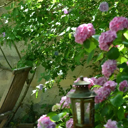 La Maison, D'hotes De Charme Et Atelier D'artiste, Saint Emilion