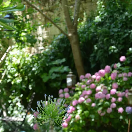 La Maison Bed & Breakfast Libourne