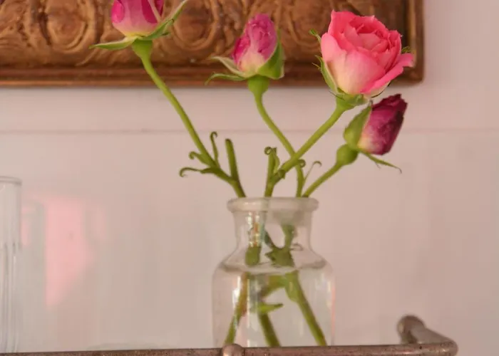 Bed & Breakfast La Maison 3*