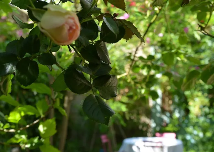 Bed & Breakfast La Maison, D'hotes De Charme Et Atelier D'artiste, Saint Emilion