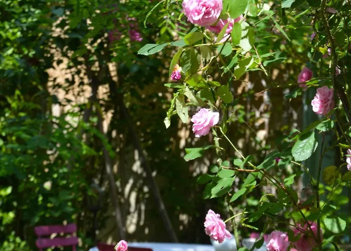 Bed & Breakfast La Maison Libourne