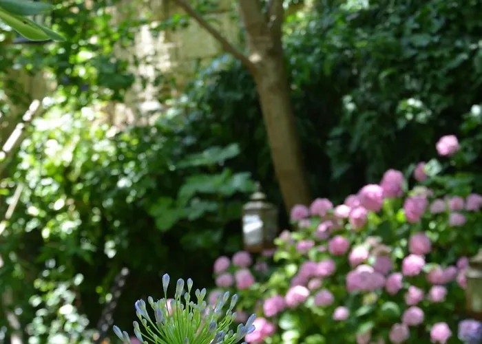 La Maison Bed & Breakfast Libourne