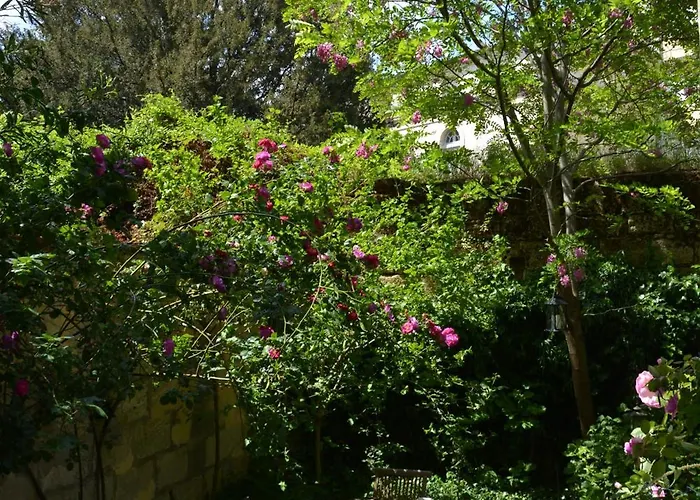 Bed & Breakfast La Maison Libourne